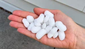 Best Salt for Water Softeners: Pellets vs Crystals – Which Is Better?